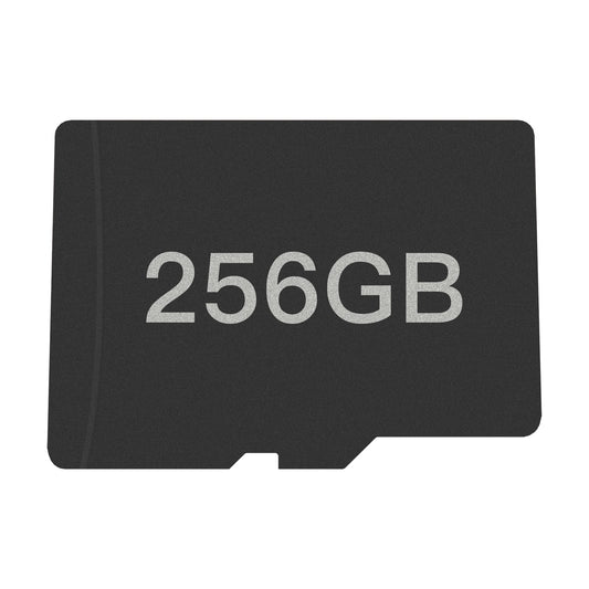 256GB SD Card