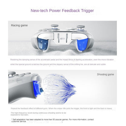 Flydigi APEX 4 Wireless Game Controller Gamepad  Elite Force Feedback for Switch PC